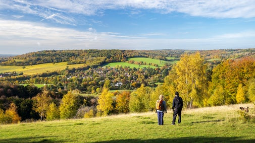 A man and a woman standing on the grass looking across towards the vineyards and woodlands at Denbies.